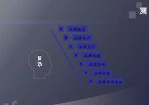 品牌管理 構建持久品牌價值的藝術與科學